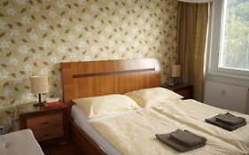 Apartman Drahovice